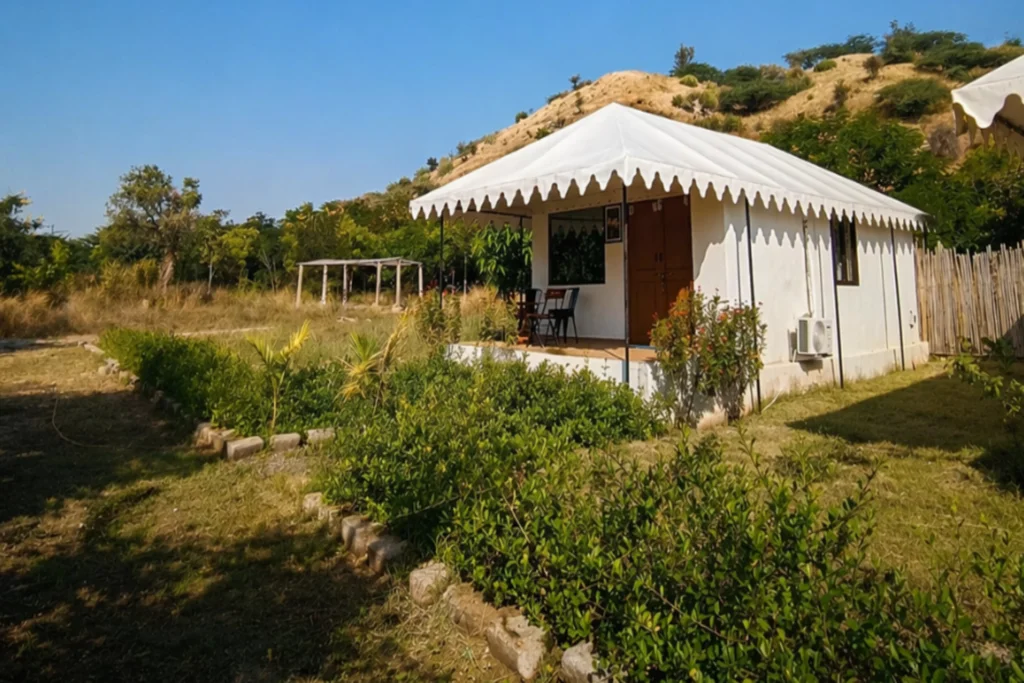 Jawai-Shambhala-Rajasthan Safari (12)